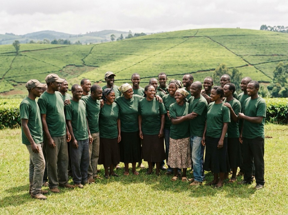 Staff at a company staff day